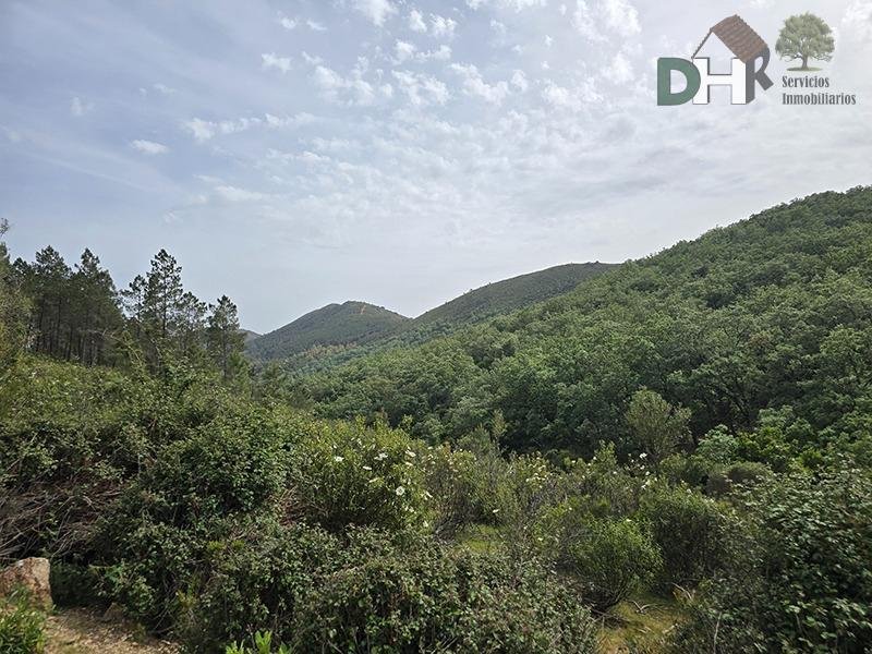 Land in Cáceres, Extremadura, Spain 1 - 17866821