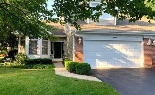 Townhouse in St. Charles, Illinois, United States 1