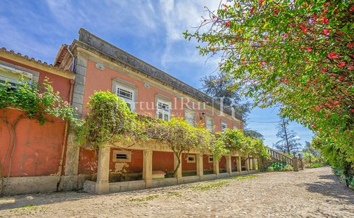 Finca a Poiares e Canelas, Distretto di Vila Real, Portogallo 1