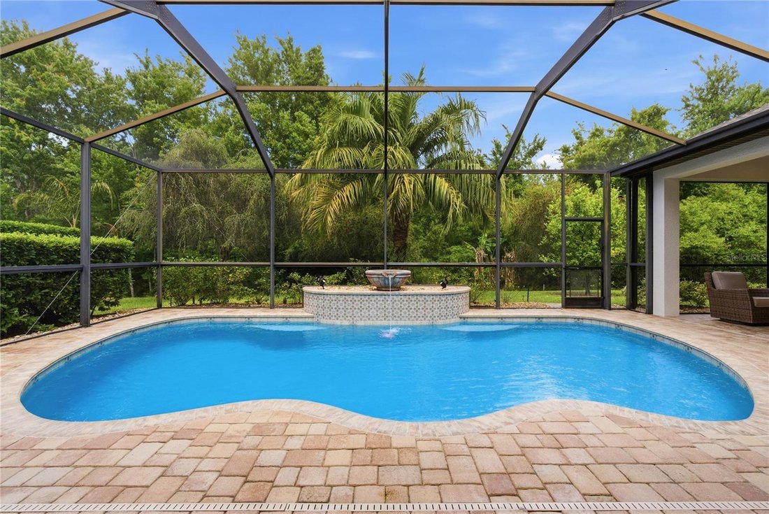 House in Land O' Lakes, Florida, United States 3 - 17864952