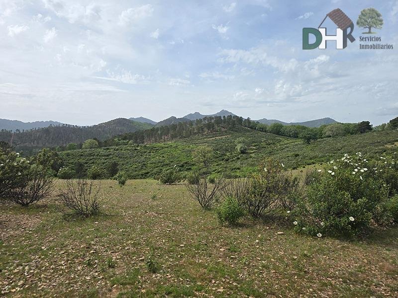 Land in Cáceres, Extremadura, Spain 2 - 17866821