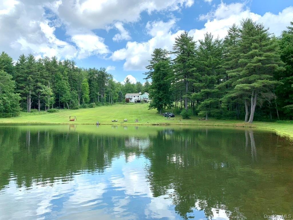 Casa a Franklin, New York, Stati Uniti 4 - 17864450