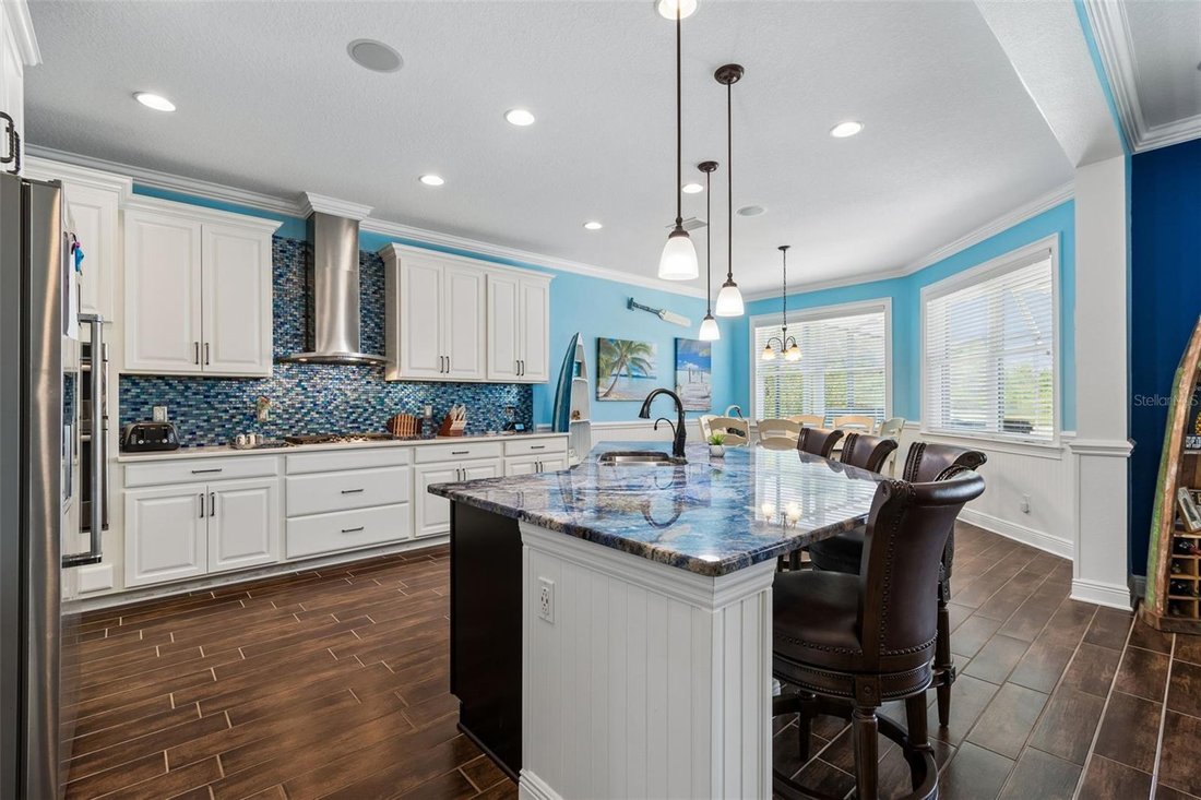 House in Odessa, Florida, United States 5 - 17864960