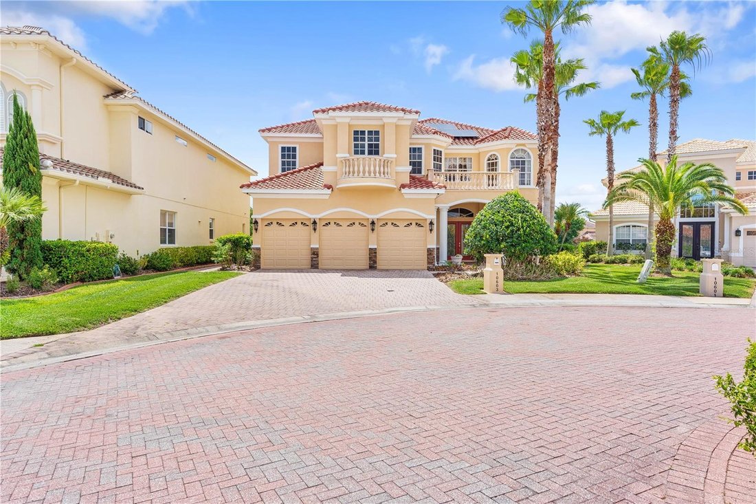 House in Tampa, Florida, United States 5 - 17869952
