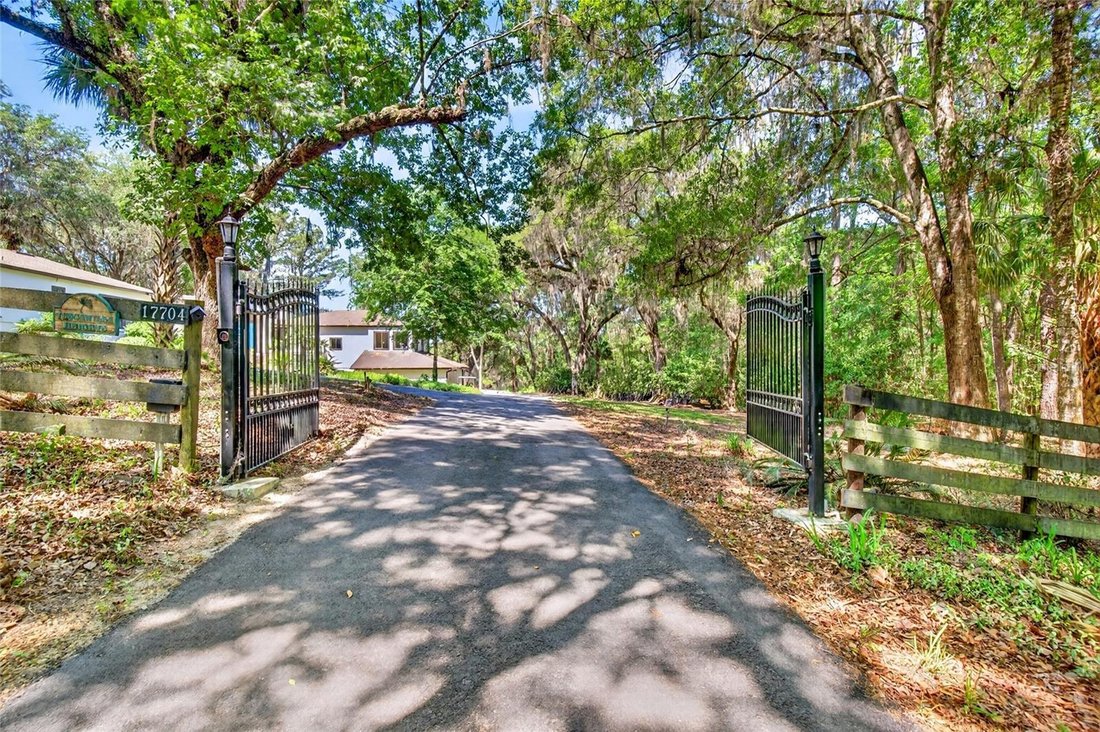 House in Micanopy, Florida, United States 3 - 17869940