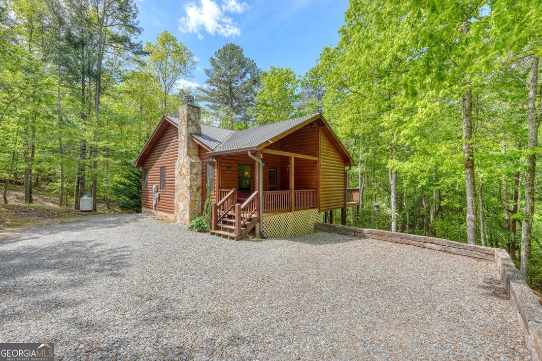 House in Mineral Bluff, Georgia, United States 4 - 17866233