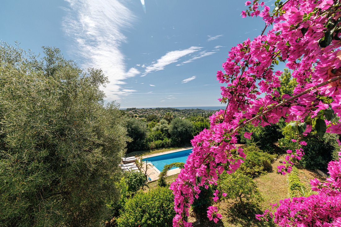 Villa in Plan de Noves, Vence, France 3 - 17865660