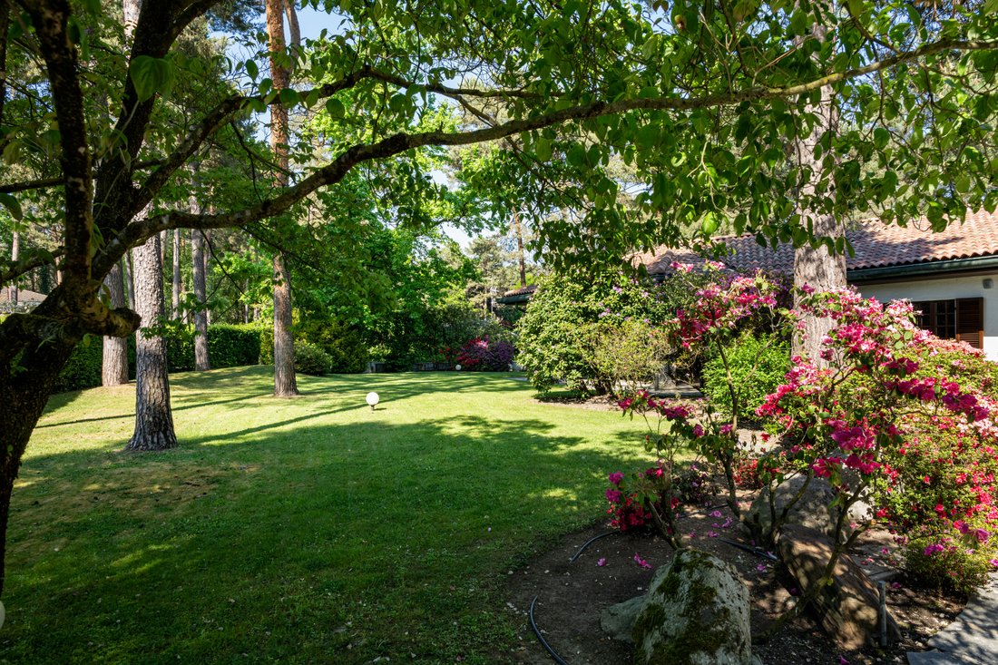 Villa in Como Borghi, Como, Lombardy 5 - 17010868
