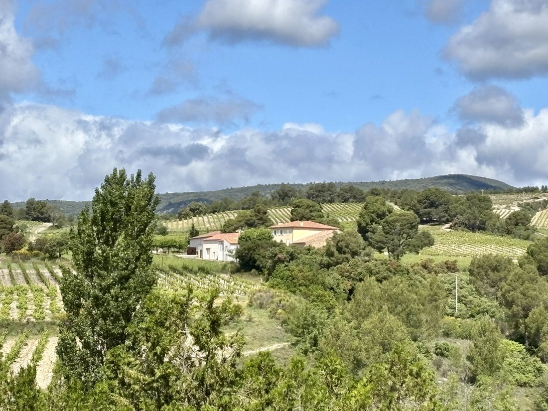 House in Le Bois-Plage-en-Ré, Nouvelle-Aquitaine, France 1 - 17043440
