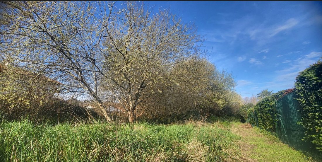 Land in Bidart, Nouvelle-Aquitaine, France 2 - 17868704
