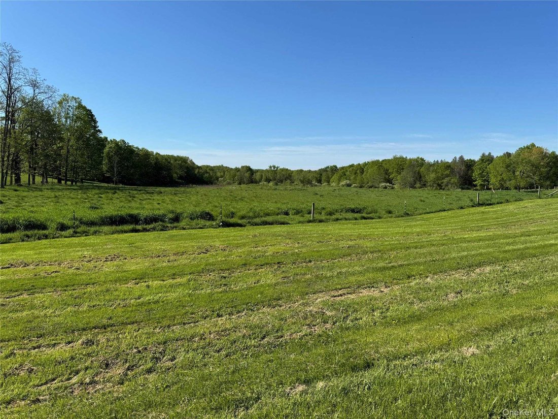 Land in Millbrook, New York, United States 4 - 17868573