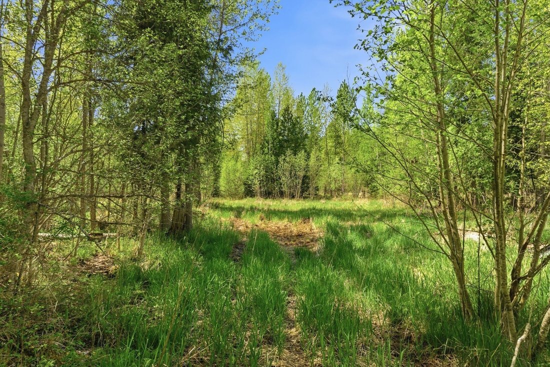 Land in Sandpoint, Idaho, United States 2 - 17870276