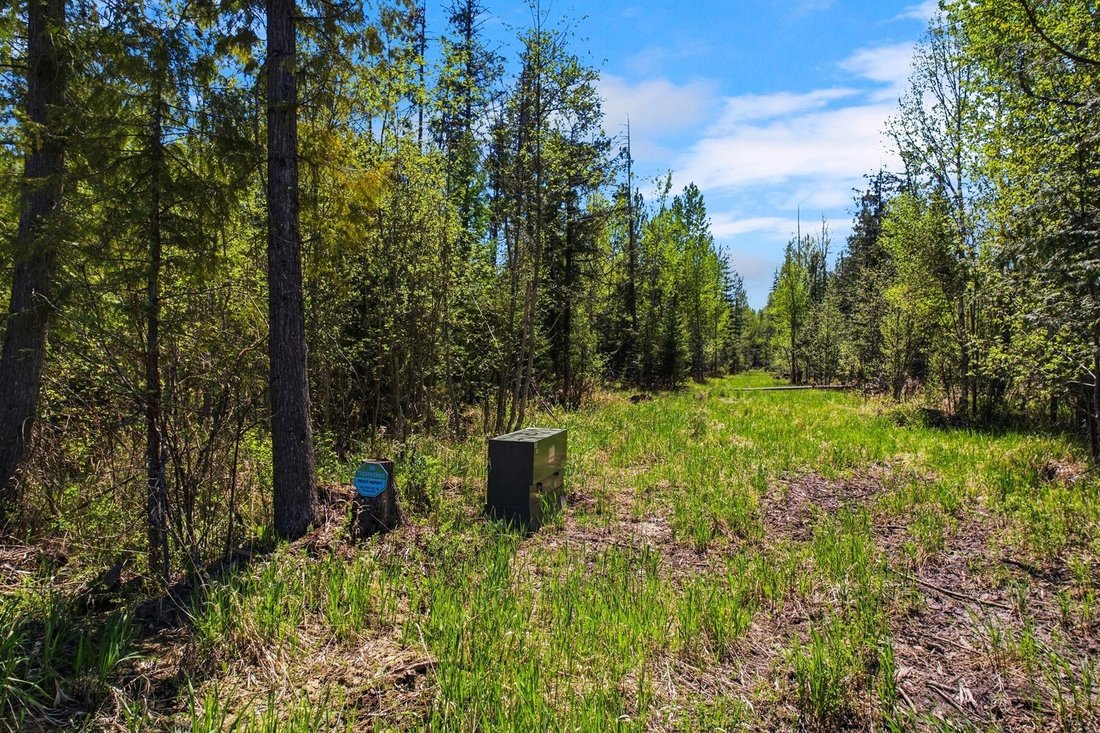 Land in Sandpoint, Idaho, United States 1 - 17870276