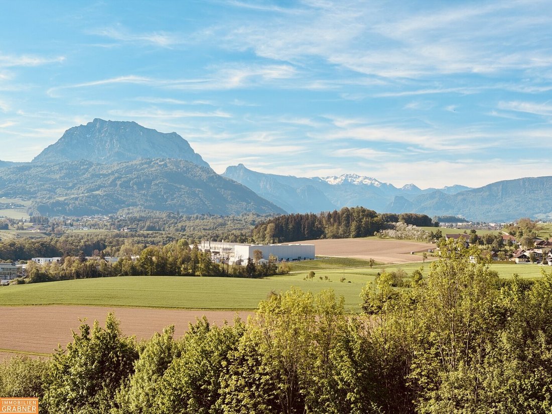 Penthouse in Ohlsdorf, Upper Austria, Austria 5 - 17870861