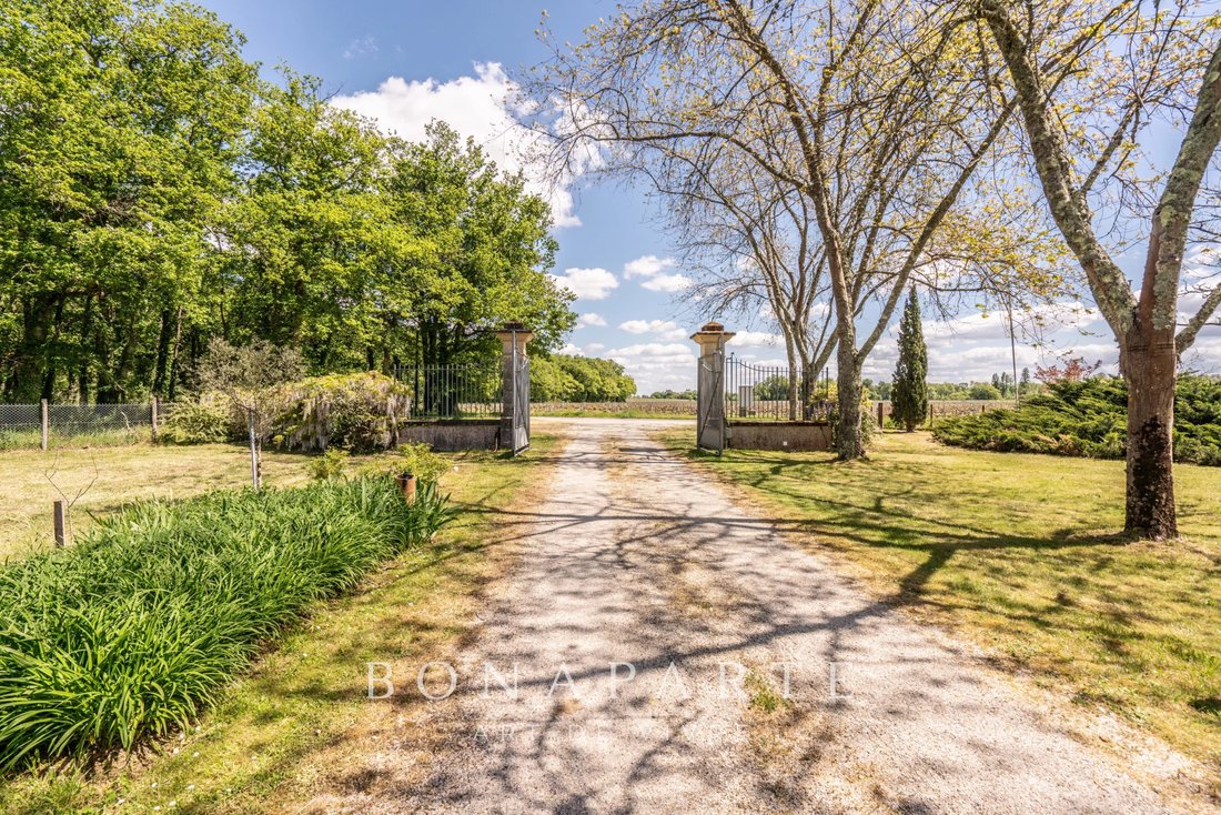 Estate in Bégadan, Nouvelle-Aquitaine, France 1 - 17862953