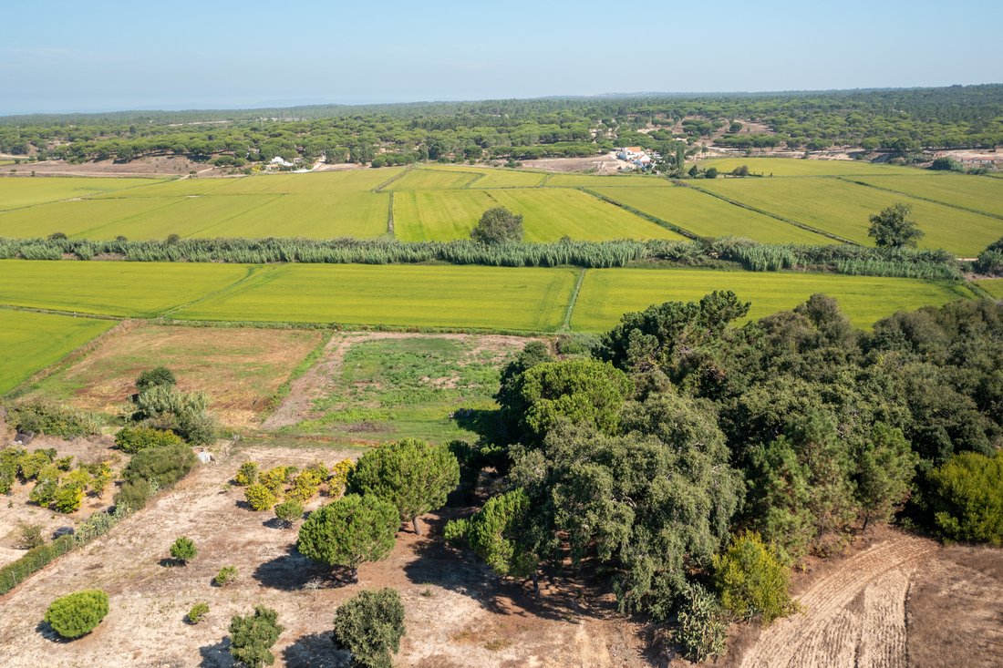 Villa in Melides, Setubal, Portugal 3 - 17870926