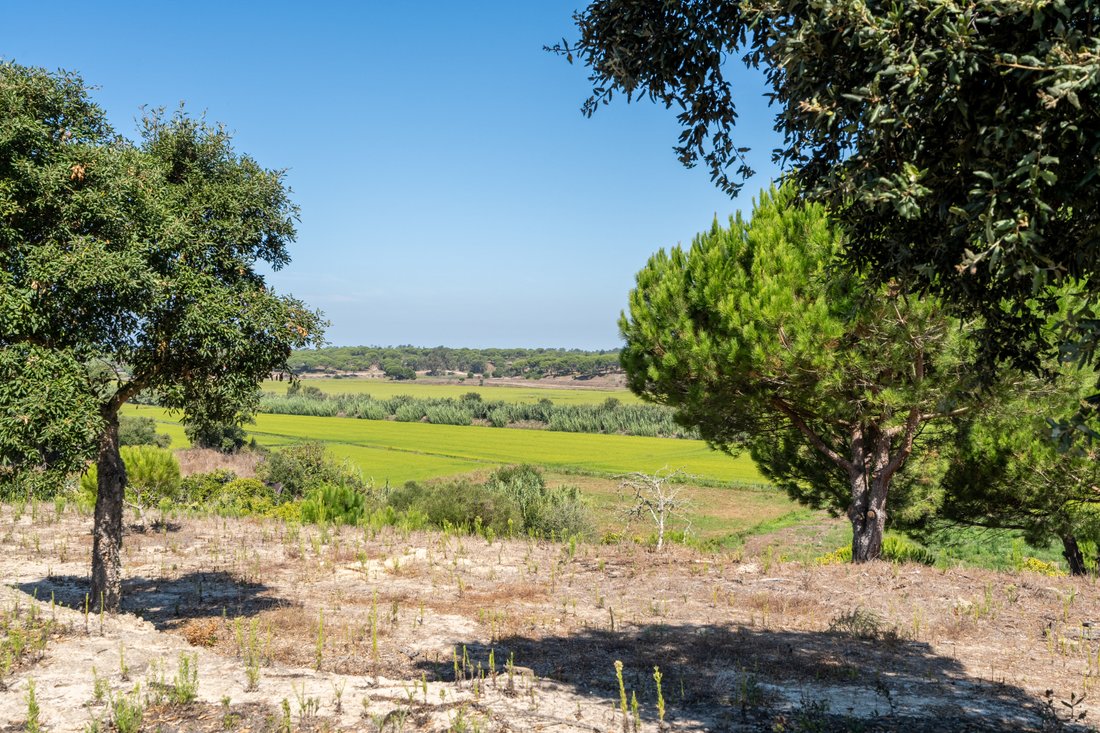 Villa in Melides, Setubal, Portugal 4 - 17870926