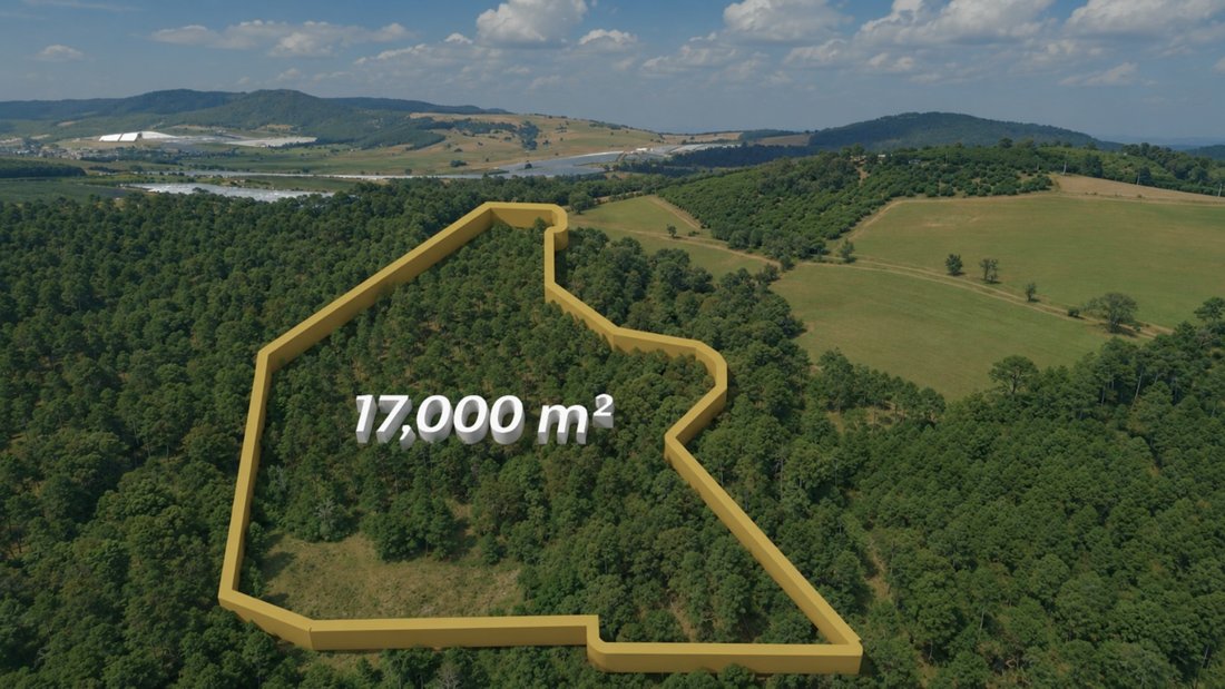 Land in Tapalpa, Jalisco, Mexico 1 - 16610246