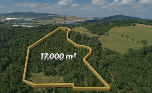 Land in Tapalpa, Jalisco, Mexiko 1