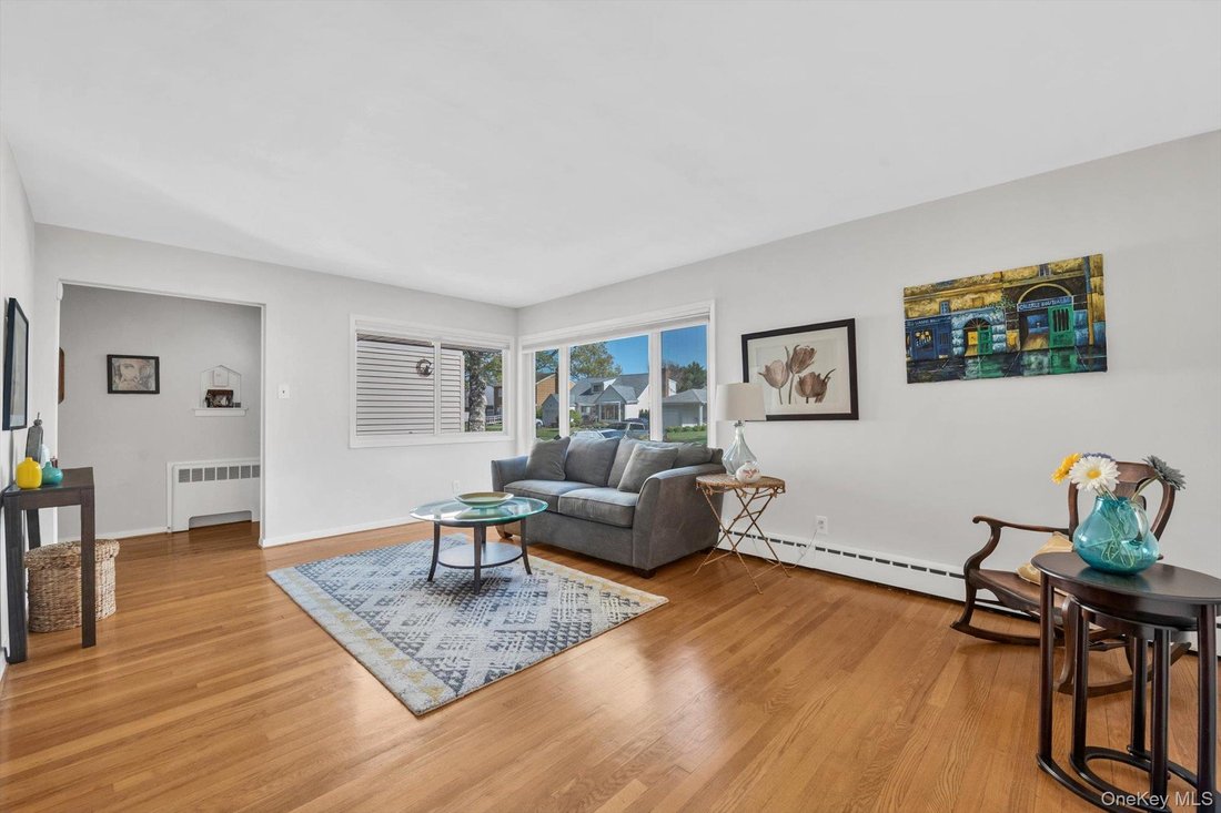 House in New Hyde Park, New York, United States 5 - 17871084
