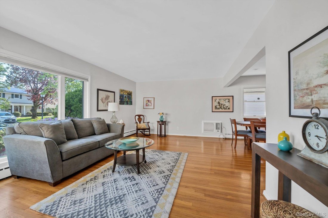 House in New Hyde Park, New York, United States 3 - 17871084