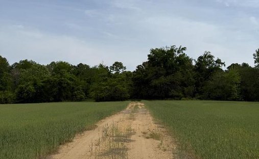 Land in Hollywood, Maryland, United States 1