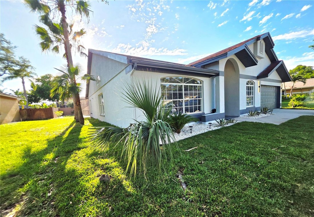 House in Palm Harbor, Florida, United States 2 - 17883996
