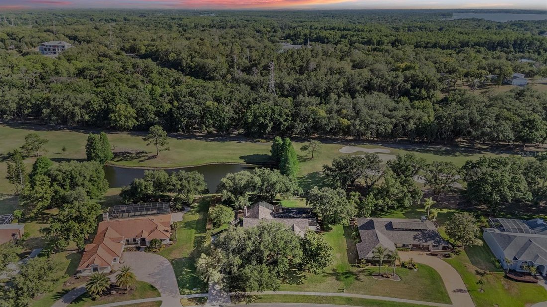 House in Tarpon Springs, Florida, United States 3 - 17875192