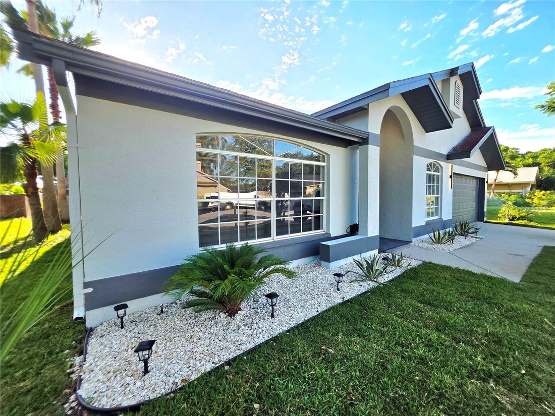 House in Palm Harbor, Florida, United States 3 - 17883996