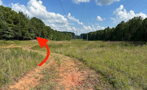 Land in Newnan, Georgia, United States 1