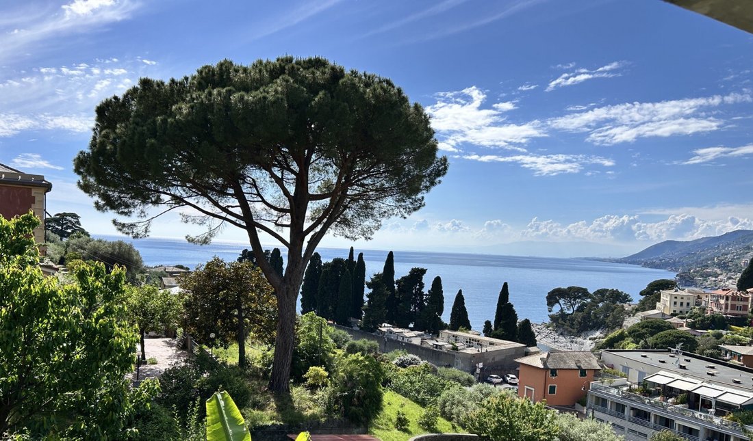 Apartment in Camogli, Liguria, Italy 3 - 17883155