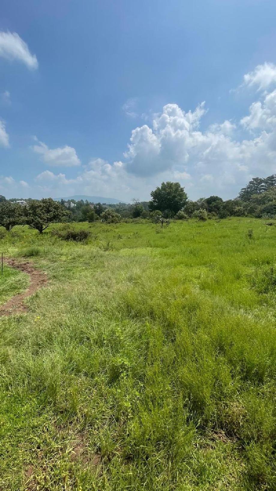 Land in Jilotepec de Molina Enríquez, State of Mexico, Mexico 3 - 17873266