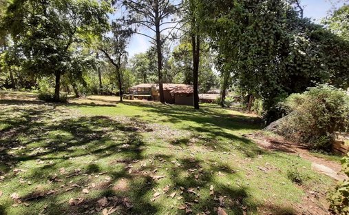 Land in Valle de Bravo, State of Mexico, Mexico 1