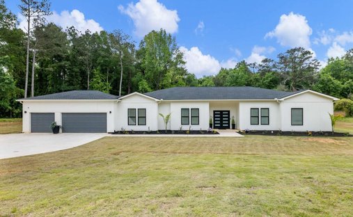 House in Ellenwood, Georgia, United States 1