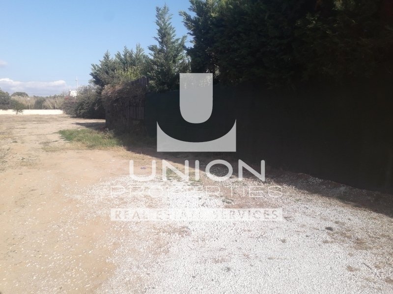 Land in Kalyvia Thorikou, Attica, Greece 4 - 17877574