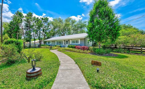 House in Palm Harbor, Florida, United States 1