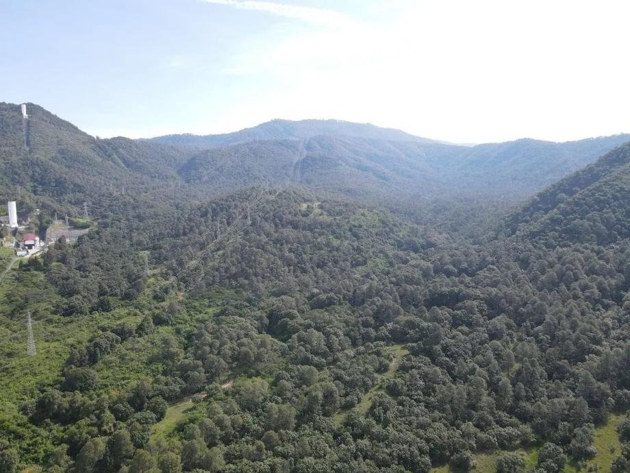 Land in San Gabriel Ixtla, State of Mexico, Mexico 3 - 17873585