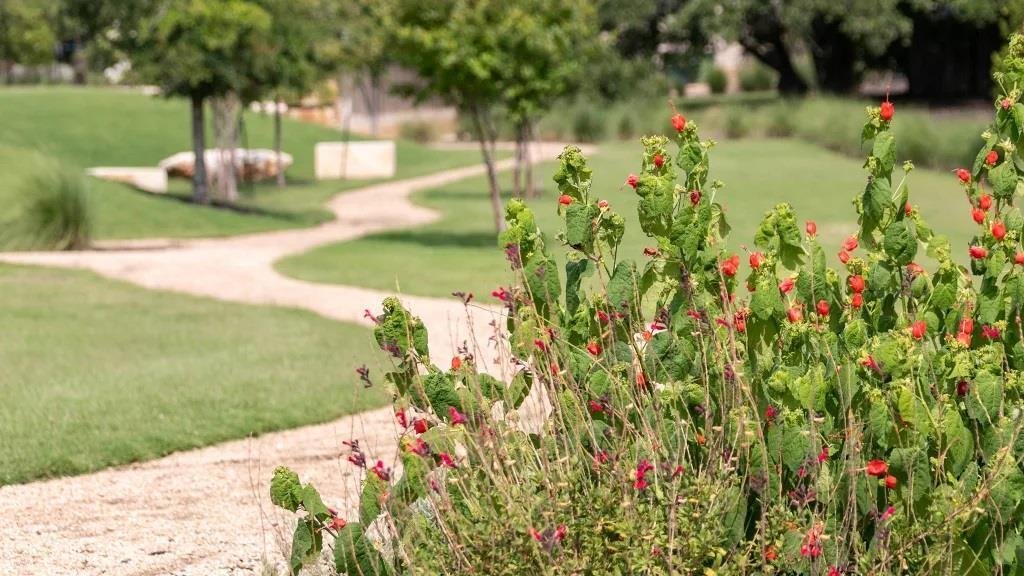 House in Leander, Texas, United States 5 - 17872072