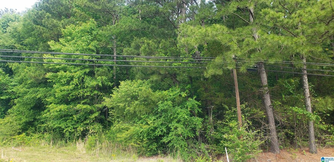 Land in Springville, Alabama, United States 5 - 17874207