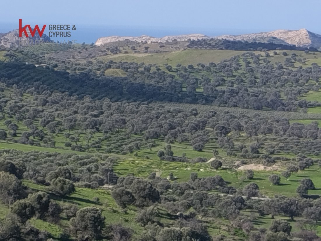 Land in Mires, Greece 4 - 17874171