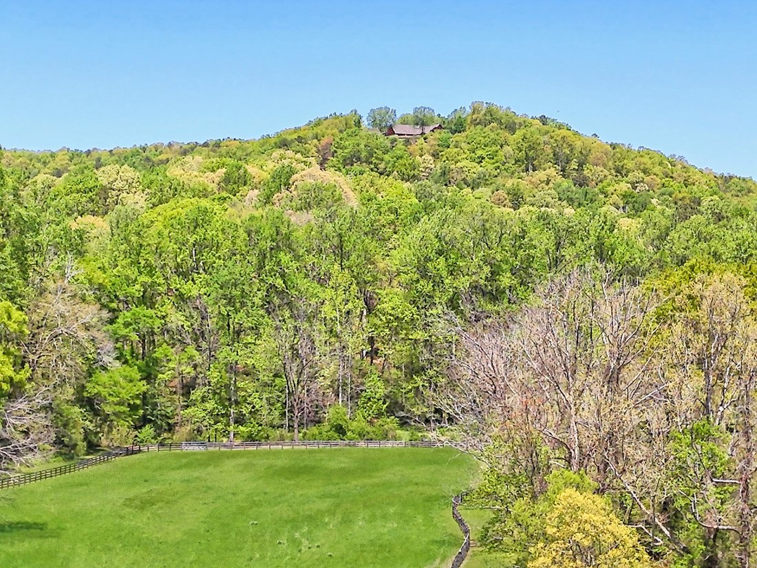Land in Alto, Georgia, United States 2 - 17879614