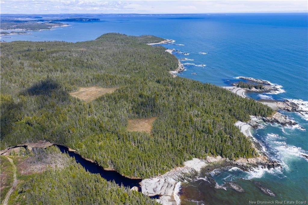 Land in Seeleys Cove, New Brunswick, Canada 2 - 17874169
