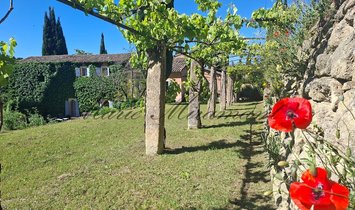 Domaine à L'Isle-sur-la-Sorgue, Provence-Alpes-Côte d'Azur, France 1