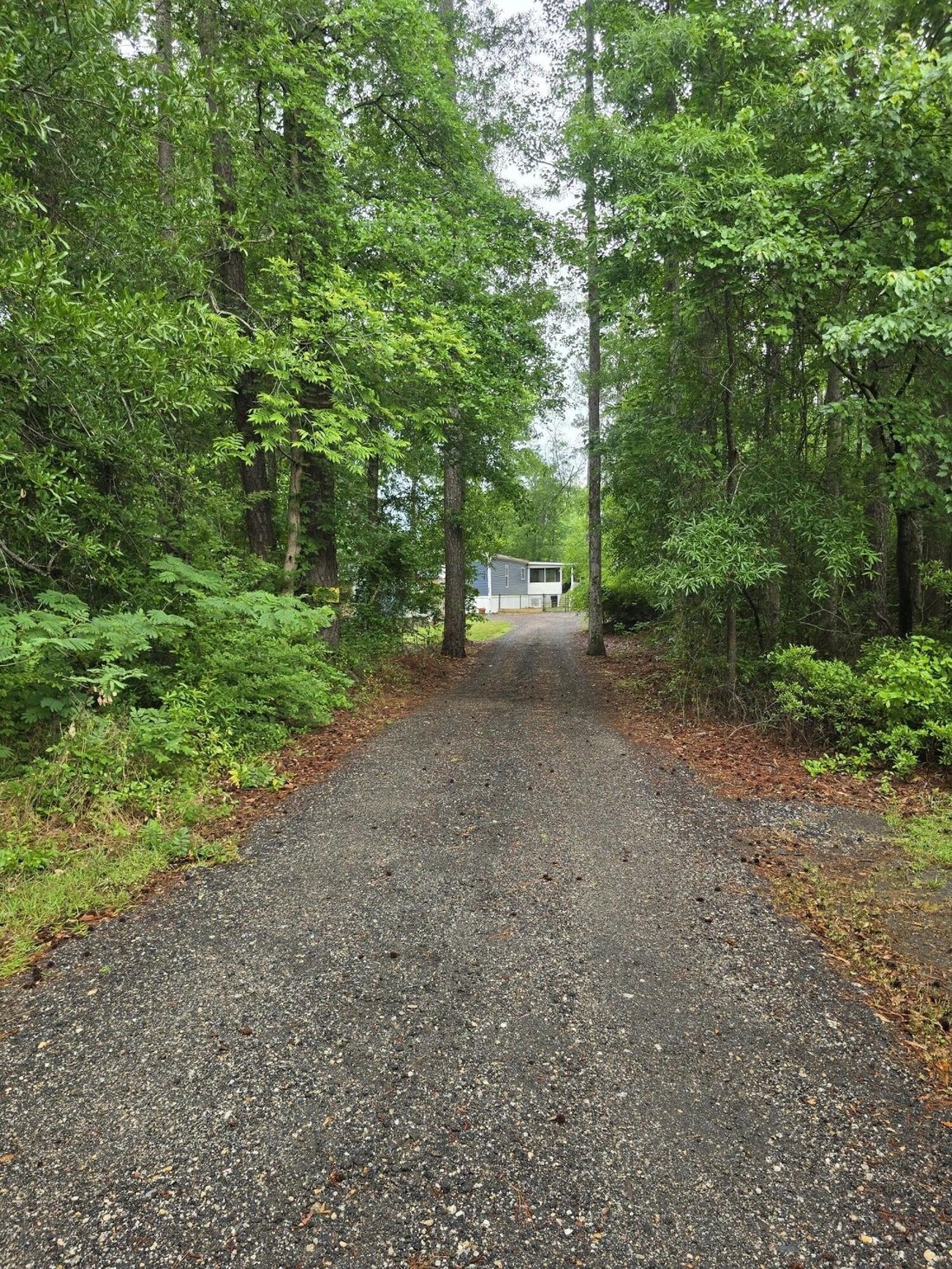 Johnsonville, South Carolina, United States 4 - 17874389
