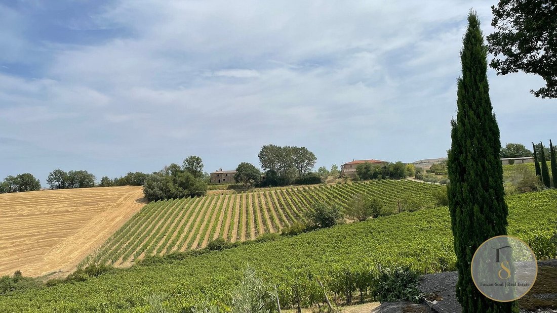 House in Montalcino, Tuscany, Italy 5 - 17873779