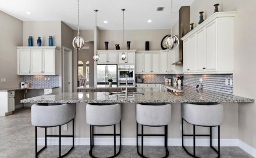 House in Davie, Florida, United States 1