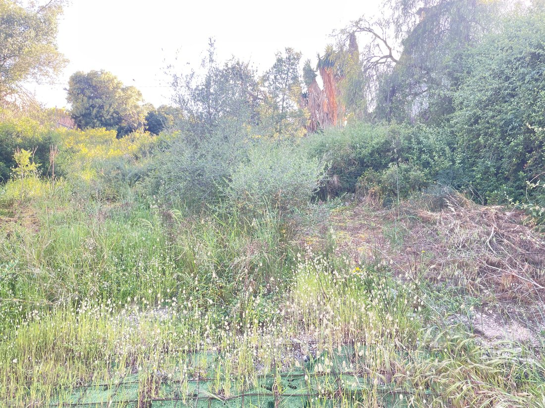 Land in Genoa, Palma, Balearic Islands 4 - 17873604