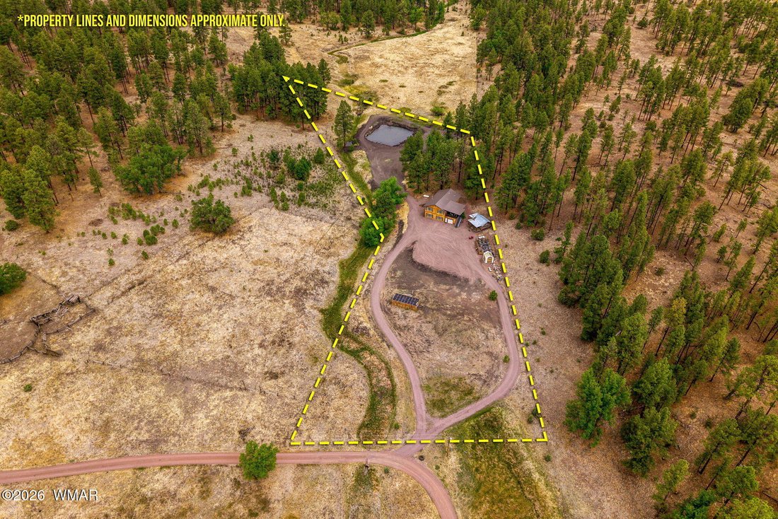 House in Alpine, Arizona, United States 3 - 17872427