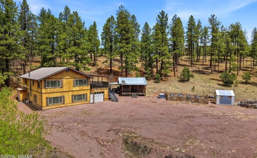 House in Alpine, Arizona, United States 1