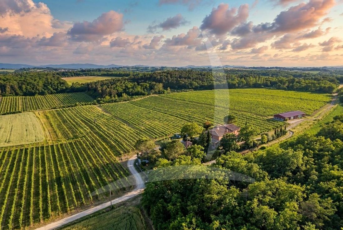 Farm Ranch in Castiglione del Lago, Umbria, Italy 2 - 13150047